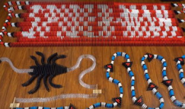 多米诺骨牌视频,一场视觉与数学的完美交响